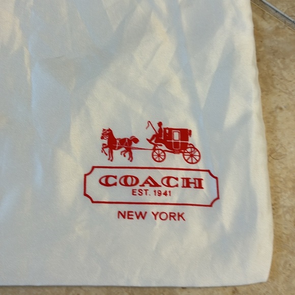 Coach Ashley Leather Handbag with Dustbag - Picture 16 of 16